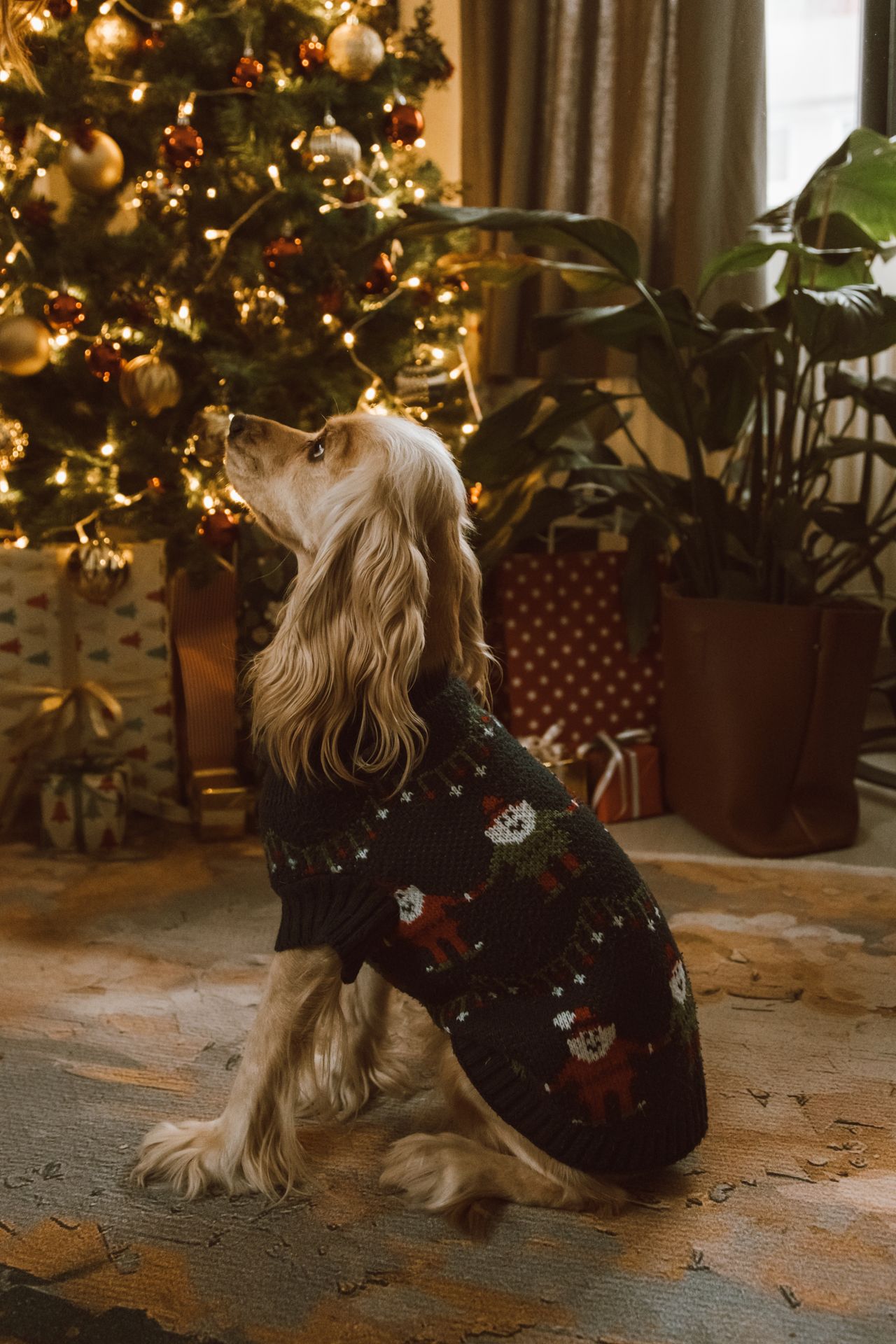Hond met foute kersttrui voor een kerstboom